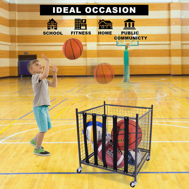 ZACHVO Freestanding Sports Rack & Reviews Wayfair